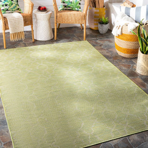 Livabliss Pasadena Classical Flatweave Polypropylene Accent Rug for Entryways and Transitional Interiors Grass Green 2'6" x 4' PSA2330-274