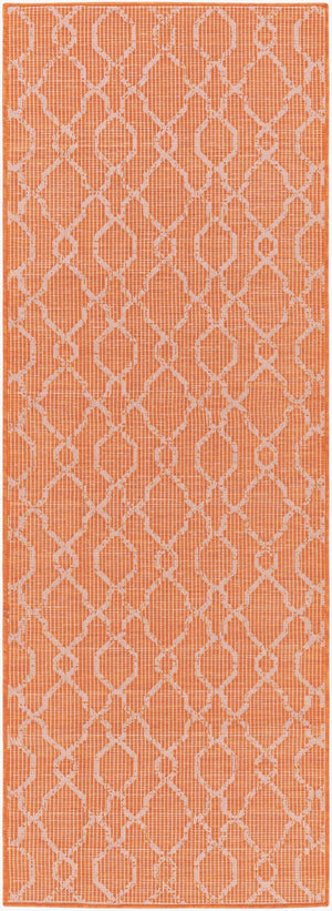 Livabliss Pasadena Flatweave Polypropylene Runner Rug Traditional Pattern for Hallway Entryway PSA2335-2773