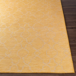 Livabliss Pasadena Flatweave Polypropylene Runner Rug Traditional Pattern for Hallways and Entryways Saffron 2'6" x 7'3" PSA2336-2773