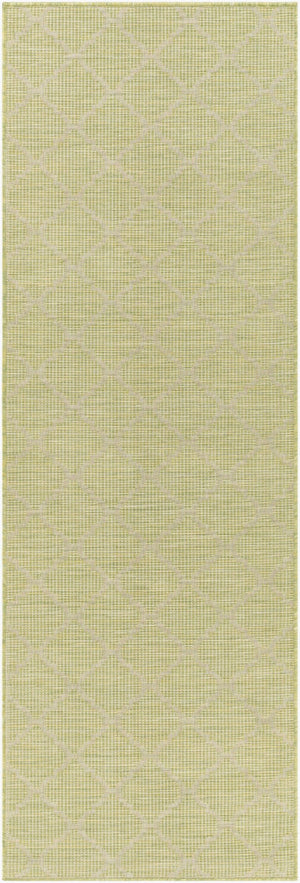 Livabliss Pasadena Flatweave Polypropylene Runner Rug for Hallways and High Traffic Areas PSA2337-2773