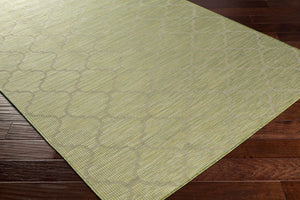 Livabliss Pasadena Flatweave Polypropylene Runner Rug for Hallways and High Traffic Areas PSA2337-2773