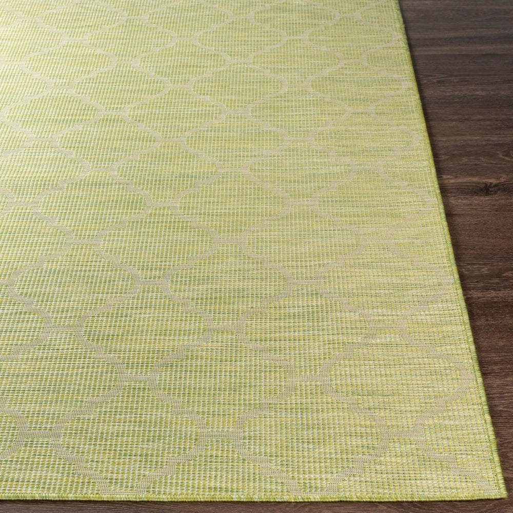 Livabliss Pasadena Flatweave Polypropylene Runner Rug for Hallways and High Traffic Areas PSA2337-2773