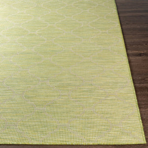 Livabliss Pasadena Flatweave Polypropylene Runner Rug for Hallways and High Traffic Areas PSA2337-2773