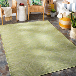 Livabliss Pasadena Flatweave Polypropylene Runner Rug for Hallways and High Traffic Areas PSA2337-2773
