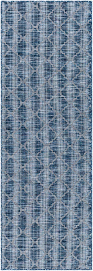Livabliss Pasadena Flatweave Polypropylene Runner Rug for Hallways Entryways and Patios PSA2340-2773