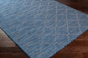 Livabliss Pasadena Flatweave Polypropylene Runner Rug for Hallways Entryways and Patios PSA2340-2773