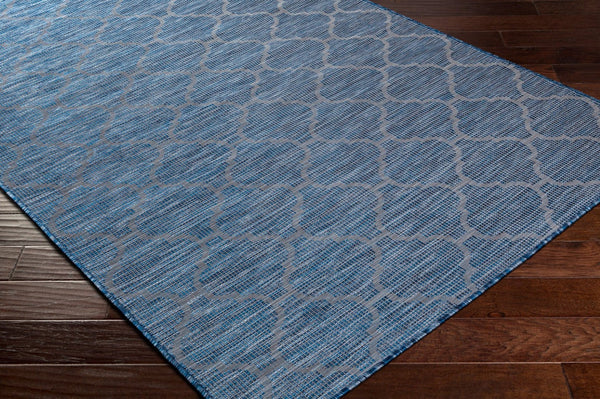 Livabliss Pasadena Flatweave Polypropylene Runner Rug for Hallways Entryways and Patios PSA2340-2773