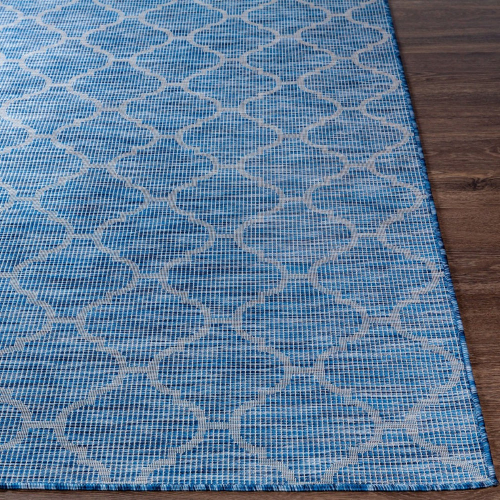 Livabliss Pasadena Flatweave Polypropylene Runner Rug for Hallways Entryways and Patios PSA2340-2773