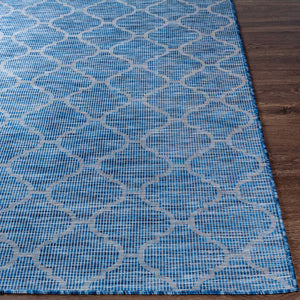 Livabliss Pasadena Flatweave Polypropylene Runner Rug for Hallways Entryways and Patios PSA2340-2773