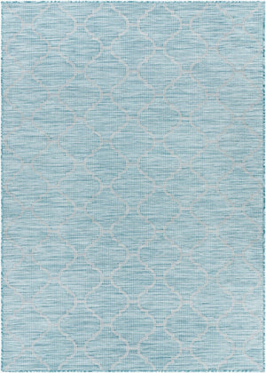 Livabliss Pasadena Flatweave Polypropylene Rug Traditional Pattern for Entryways and Patios PSA2341-274