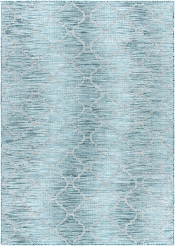 Livabliss Pasadena Flatweave Polypropylene Rug Traditional Pattern for Entryways and Patios PSA2341-274