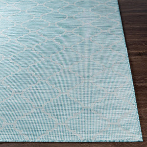 Livabliss Pasadena Flatweave Polypropylene Rug Traditional Pattern for Entryways and Patios PSA2341-274