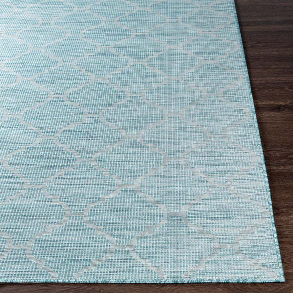 Livabliss Pasadena Flatweave Polypropylene Rug Traditional Pattern for Entryways and Patios PSA2341-274