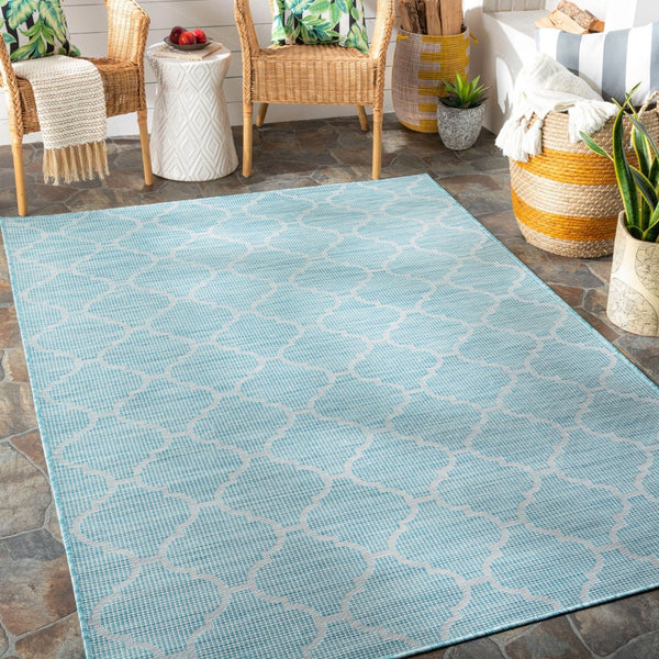 Livabliss Pasadena Flatweave Polypropylene Rug Traditional Pattern for Entryways and Patios PSA2341-274
