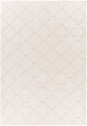 Livabliss Pasadena Flatweave Polypropylene Area Rug Traditional Pattern for Entryways and Kitchens PSA2345-274