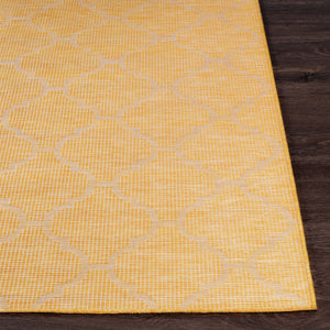 Livabliss Pasadena Flatweave Polypropylene Area Rug Traditional Geometric Pattern for Entryway or Patio Saffron 6'4" x 9' PSA2347-679