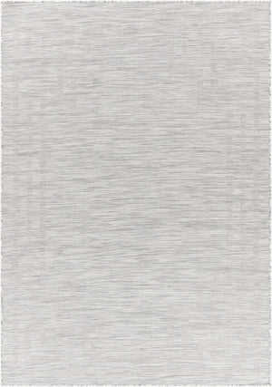 Livabliss Pasadena Flatweave Polypropylene Area Rug Traditional Pattern for Entryways and Hallways Light Gray, Med 2'6" x 4' PSA2352-274