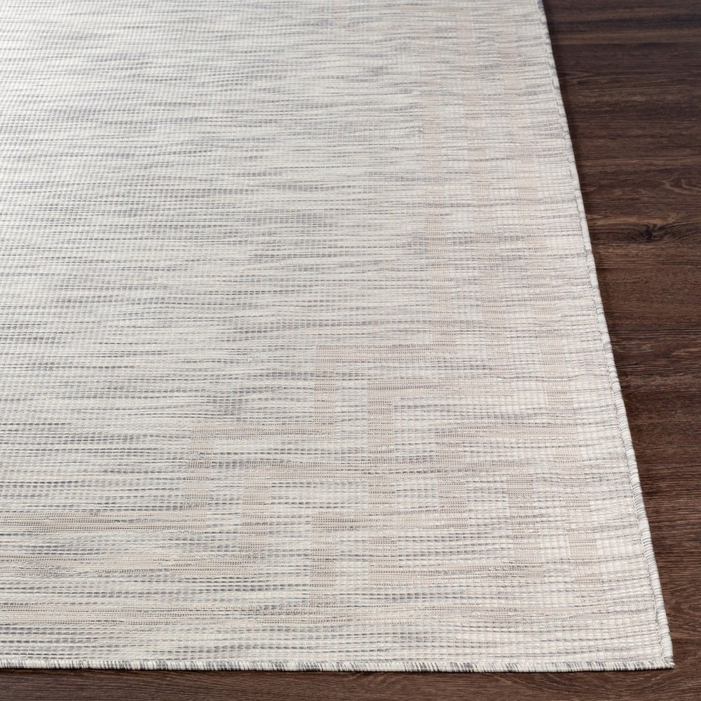 Livabliss Pasadena Flatweave Polypropylene Area Rug Traditional Pattern for Entryways and Hallways Light Gray, Med 2'6" x 4' PSA2352-274