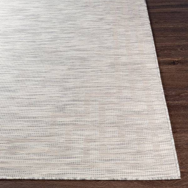 Livabliss Pasadena Flatweave Polypropylene Area Rug Traditional Pattern for Entryways and Hallways Light Gray, Med 2'6" x 7'3" PSA2352-2773