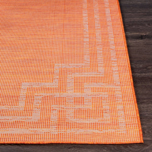Livabliss Pasadena Flatweave Polypropylene Area Rug Traditional Pattern for Entryways and Patios PSA2353-274