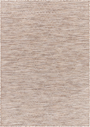 Livabliss Pasadena Global Pattern Polypropylene Outdoor Rug Uv Resistant Low Pile Patio Accent Brown, Light Be 2'6" x 4' PSA2361-274