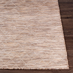 Livabliss Pasadena Global Pattern Polypropylene Outdoor Rug Uv Resistant Low Pile Patio Accent Brown, Light Be 2'6" x 4' PSA2361-274