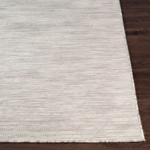 Livabliss Pasadena Flatweave Polypropylene Rug Global Bohemian Pattern for Entryways and Kitchens PSA2364-274