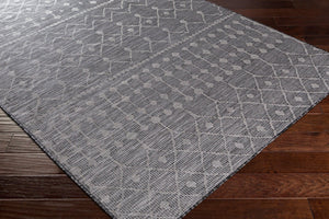 Livabliss Pasadena Flatweave Runner Bohemian Global Polypropylene Rug for Hallways and Entryways PSA2374-2773