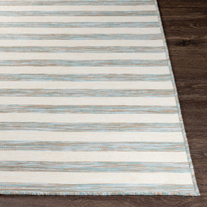 Livabliss Pasadena Flatweave Polypropylene Rug Machine Woven in Turkey for Cottage Entryways PSA2378-27411