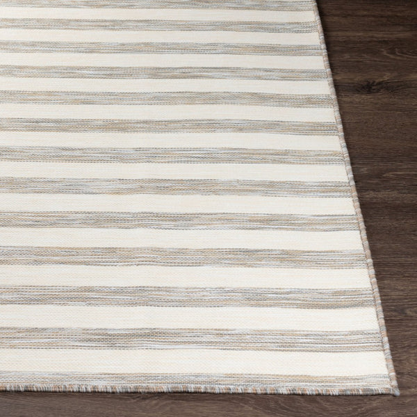 Livabliss Pasadena Flatweave Polypropylene Runner Rug for Hallways and Entryways Cottage Style PSA2381-2773
