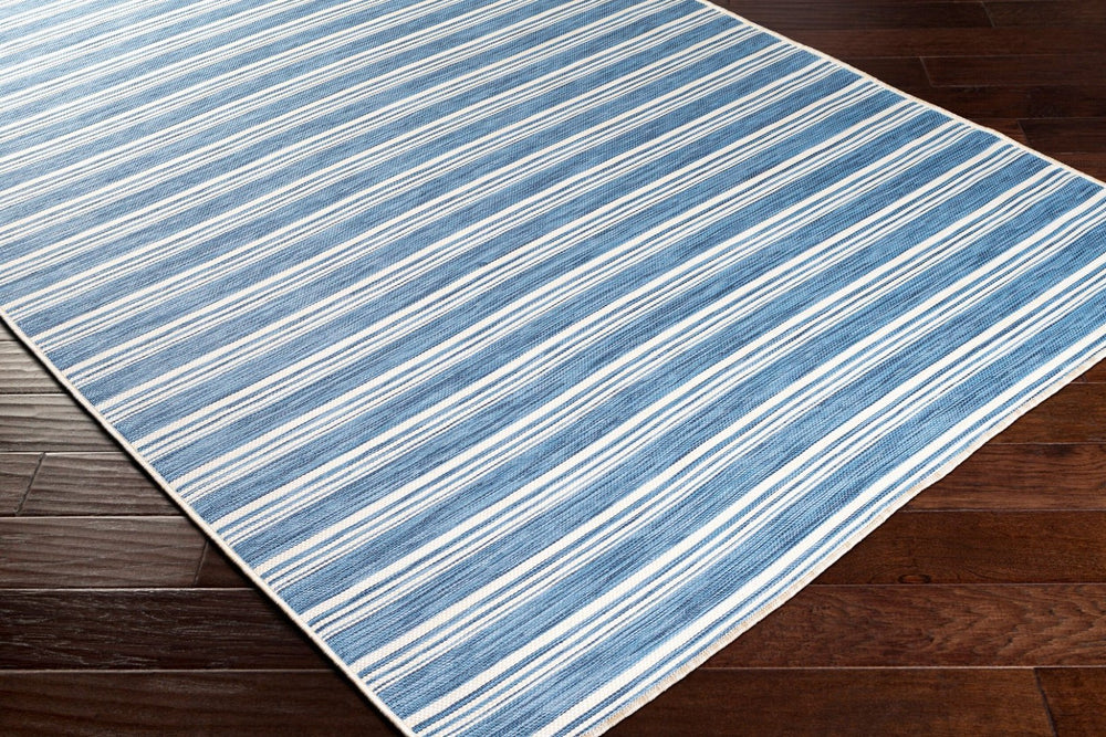 Livabliss Pasadena Flatweave Polypropylene Area Rug Cottage Style for Entryway or Patio PSA2383-27411