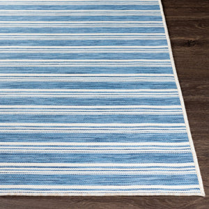 Livabliss Pasadena Flatweave Polypropylene Area Rug Cottage Style for Entryway or Patio PSA2383-27411