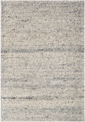 Livabliss Palisade Handwoven Wool Jute Area Rug Farmhouse Cottage Style for Entryway Accent Ivory, Charcoal 2' x 3' PSD2300-23