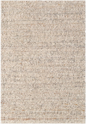 Livabliss Palisade Handwoven Wool Jute Blend Area Rug Farmhouse Cottage Style Entryway Accent Ivory, Sandston 2' x 3' PSD2301-23