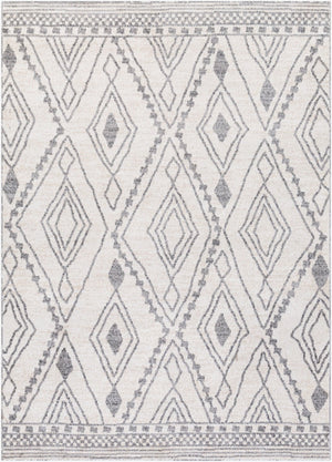 Livabliss Positano Bohemian Global Machine Woven Polypropylene Area Rug for Living Rooms PSN2303-5373