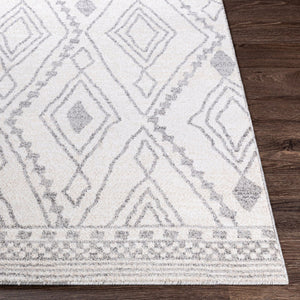 Livabliss Positano Bohemian Global Machine Woven Polypropylene Area Rug for Living Rooms PSN2303-5373