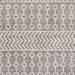 Livabliss Positano Bohemian Machine Woven Polypropylene Area Rug for Eclectic Living Spaces PSN2310-69