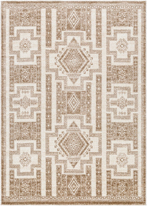 Positano PSN-2314 8'10" x 12' Machine Woven Rug PSN2314-81012 Livabliss Surya