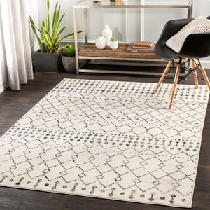 Livabliss Pisa Bohemian Global Runner Rug Polypropylene Machine Woven for Hallways and Entryways Black, White 4'3" x 5'7" PSS2300-4357