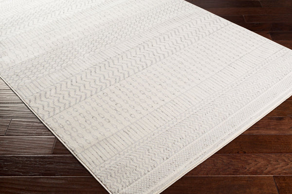 Livabliss Pisa Geometric Bohemian Polypropylene Area Rug Turkish Woven for Living Room Decor Medium Gray, Ch 6'7" x 9' PSS2301-679