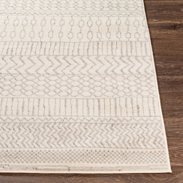 Livabliss Pisa Geometric Bohemian Polypropylene Area Rug Turkish Woven for Living Room Decor Medium Gray, Ch 6'7" x 9' PSS2301-679