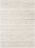 Pisa PSS-2304 6'7" x 9' Machine Woven Rug PSS2304-679 Livabliss Surya