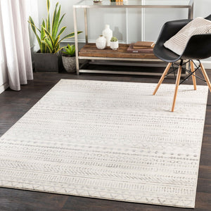Livabliss Pisa Bohemian Global Polypropylene Area Rug Turkey Woven Eclectic Living Room Accent Medium Gray, Ch 4'3" x 5'7" PSS2304-4357