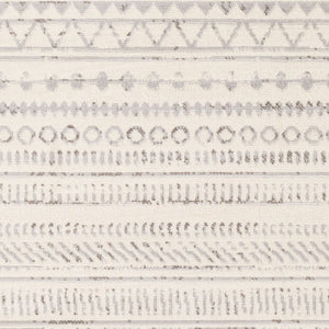 Livabliss Pisa Bohemian Global Polypropylene Area Rug Turkey Woven Eclectic Living Room Accent Medium Gray, Ch 4'3" x 5'7" PSS2304-4357
