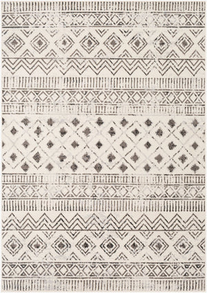 Livabliss Pisa Global Inspired Polypropylene Area Rug Machine Woven for Living and Dining Rooms PSS2305-57