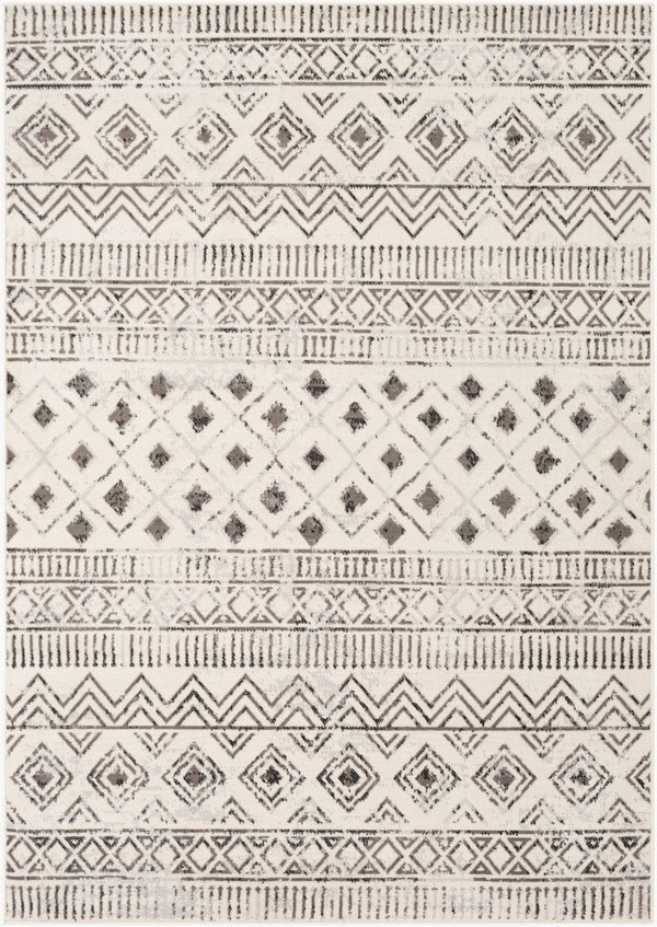 Livabliss Pisa Global Inspired Polypropylene Area Rug Machine Woven for Living and Dining Rooms PSS2305-57