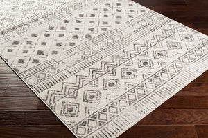Livabliss Pisa Global Inspired Polypropylene Area Rug Machine Woven for Living and Dining Rooms PSS2305-57