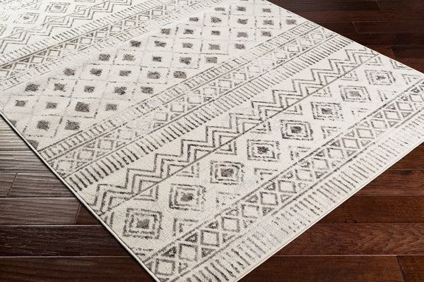 Livabliss Pisa Global Inspired Polypropylene Area Rug Machine Woven for Living and Dining Rooms PSS2305-57