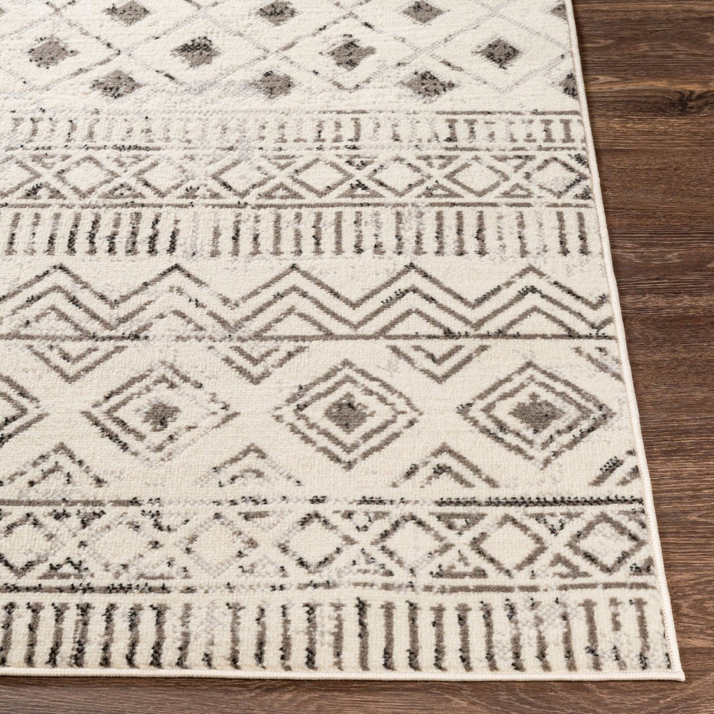 Livabliss Pisa Global Inspired Polypropylene Area Rug Machine Woven for Living and Dining Rooms PSS2305-57