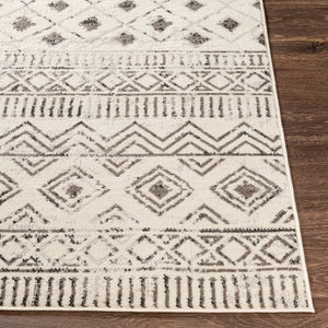 Livabliss Pisa Global Inspired Polypropylene Area Rug Machine Woven for Living and Dining Rooms PSS2305-57